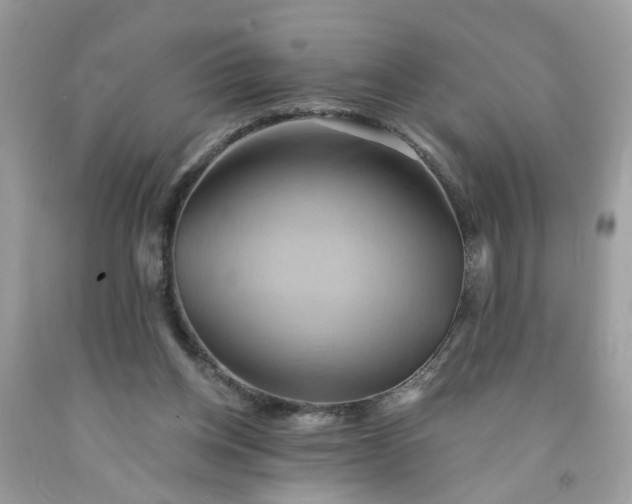 X0000091590158200709051129