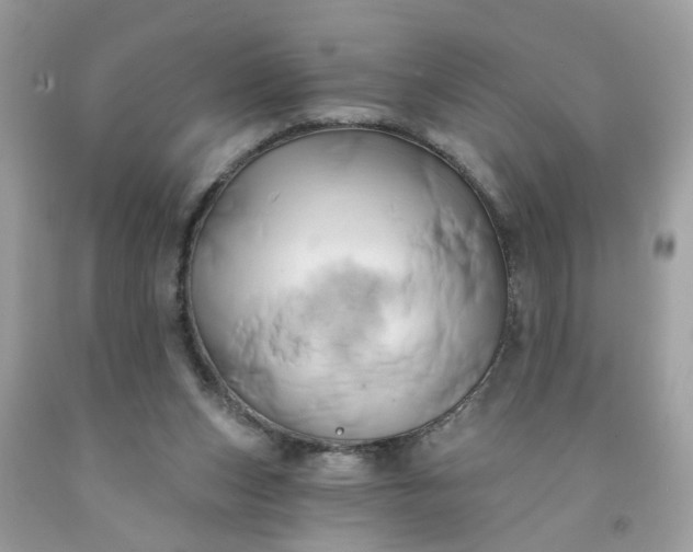 X0000091590159200709051129