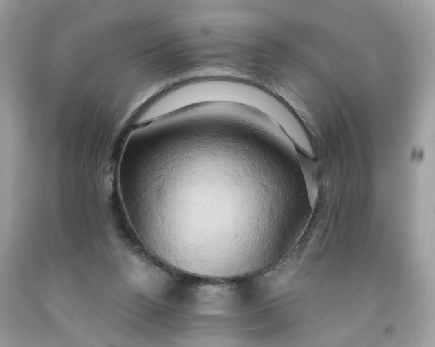 X0000091590160200709051129