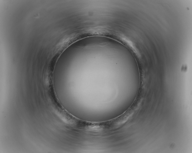 X0000091590161200709051129