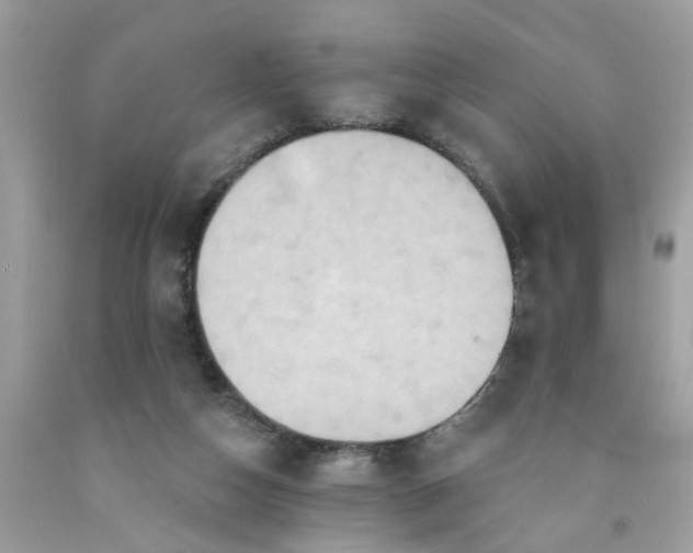 X0000091590162200709051129