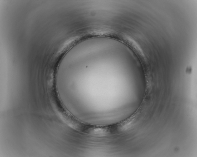 X0000091590163200709051129