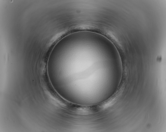 X0000091590164200709051129