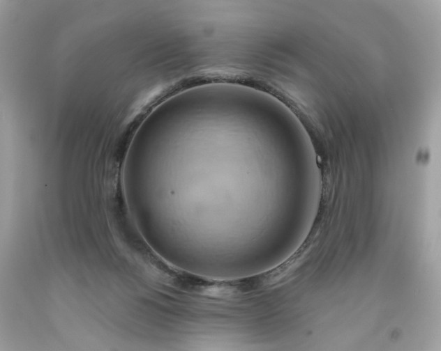 X0000091590168200709051129