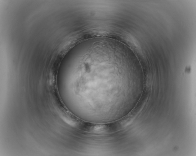 X0000091590173200709051129