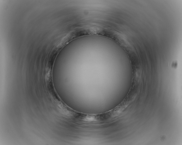 X0000091590177200709051129