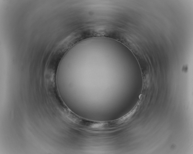 X0000091590178200709051129