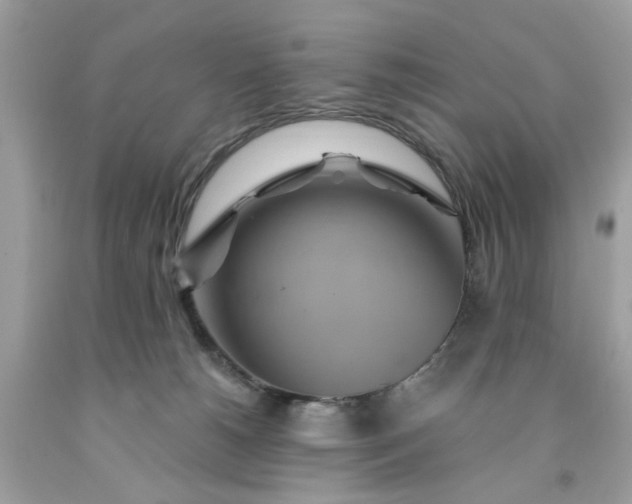 X0000091590180200709051129