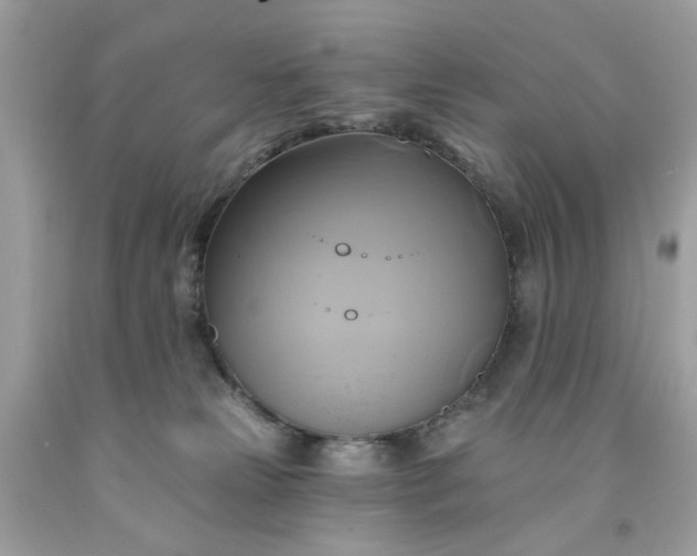 X0000091590181200709051129