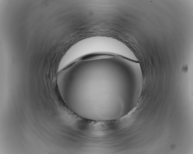 X0000091590186200709051129