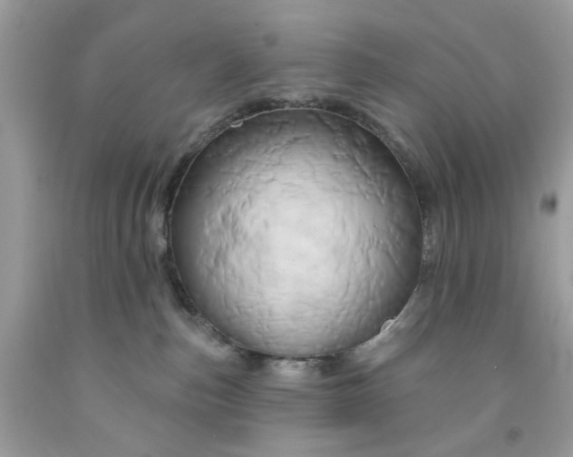 X0000091590187200709051129