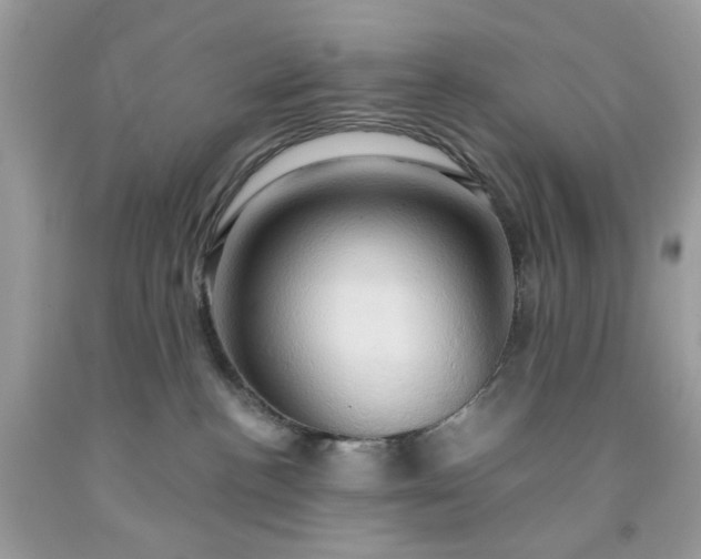 X0000091590188200709051129