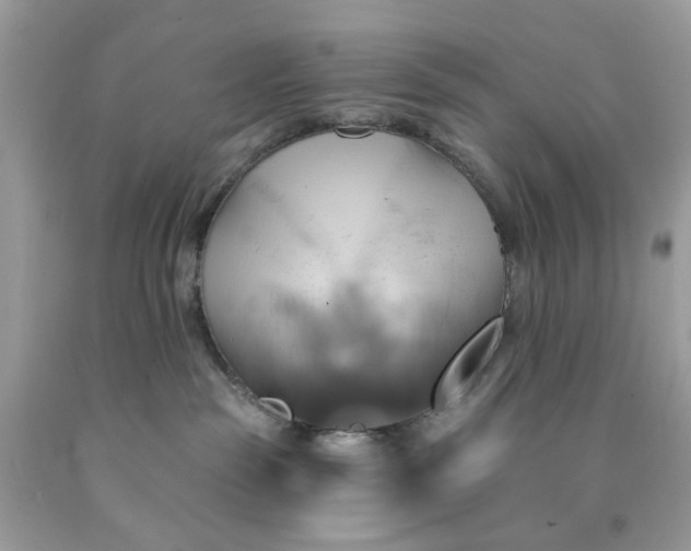 X0000091590189200709051129