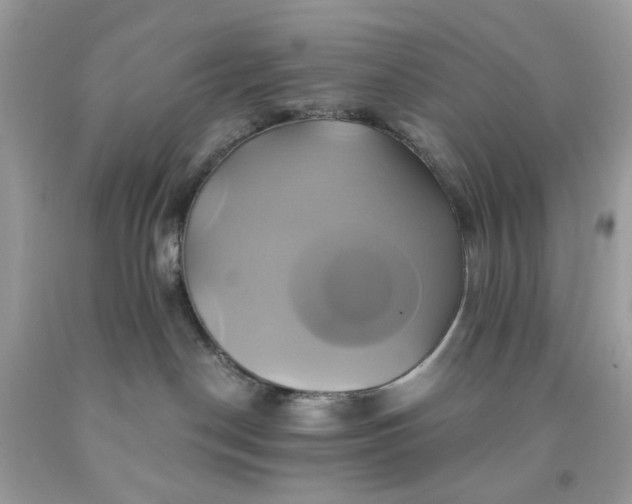 X0000091590190200709051129