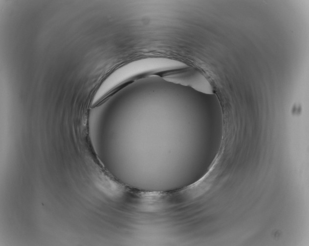 X0000091590192200709051129