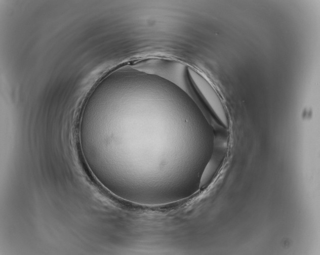 X0000091590193200709051129