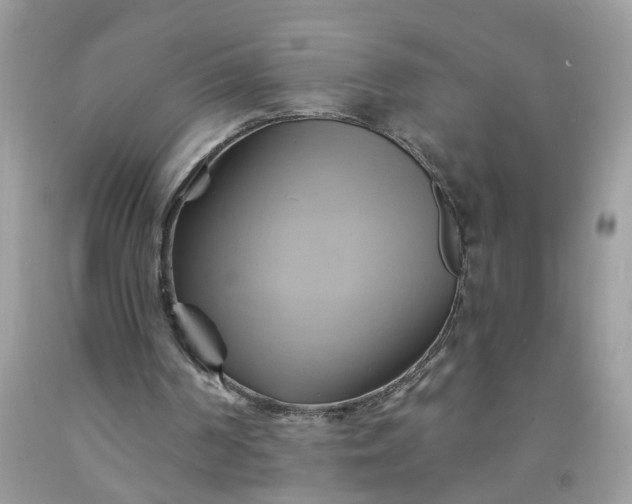 X0000091590194200709051129