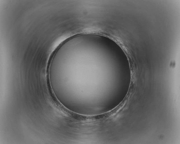 X0000091590196200709051129