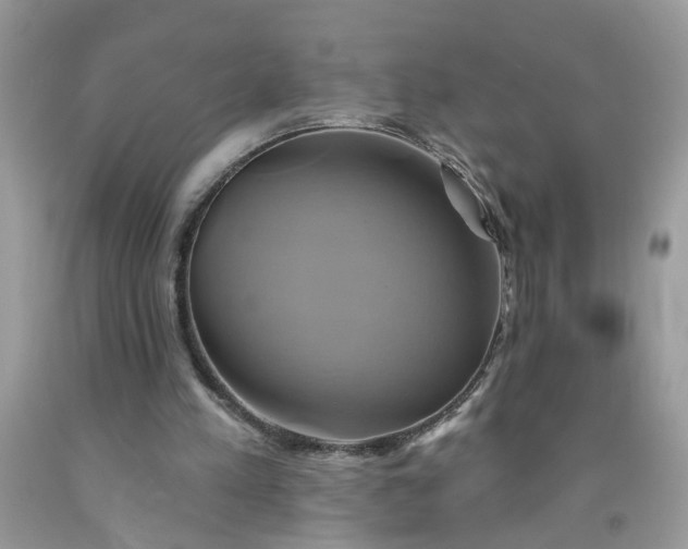 X0000091590197200709051129