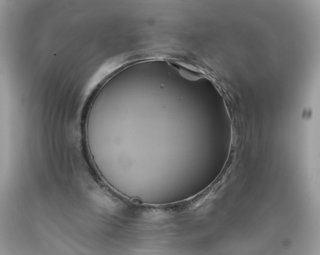 X0000091590198200709051129