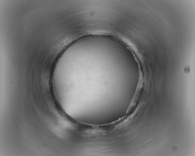 X0000091590201200709051129