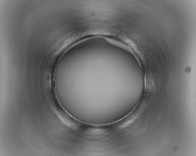 X0000091590205200709051129