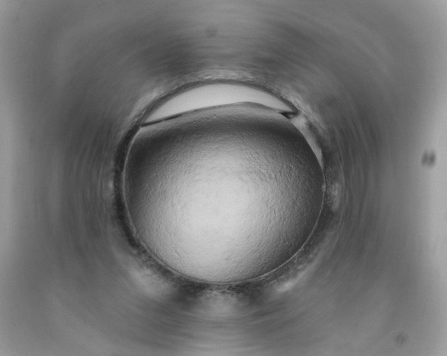 X0000091590207200709051129