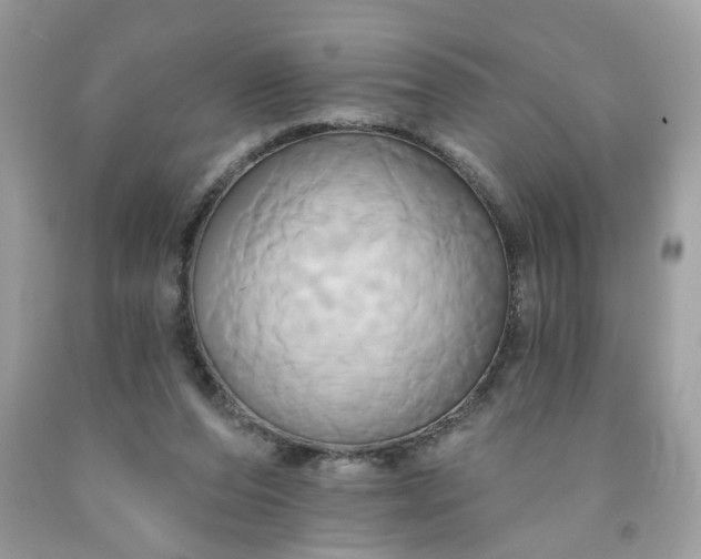 X0000091590208200709051129