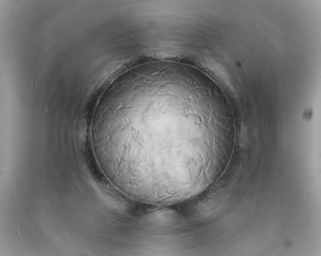 X0000091590210200709051129