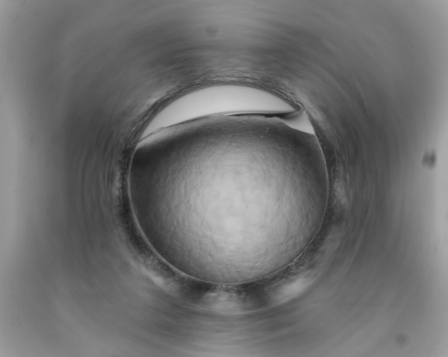 X0000091590211200709051129