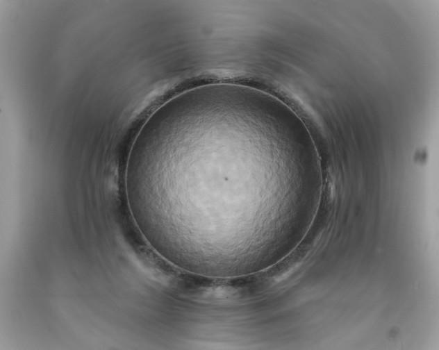 X0000091590212200709051128