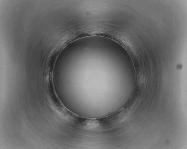 X0000091590214200709051128