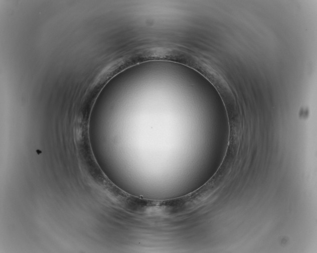 X0000091590216200709051128