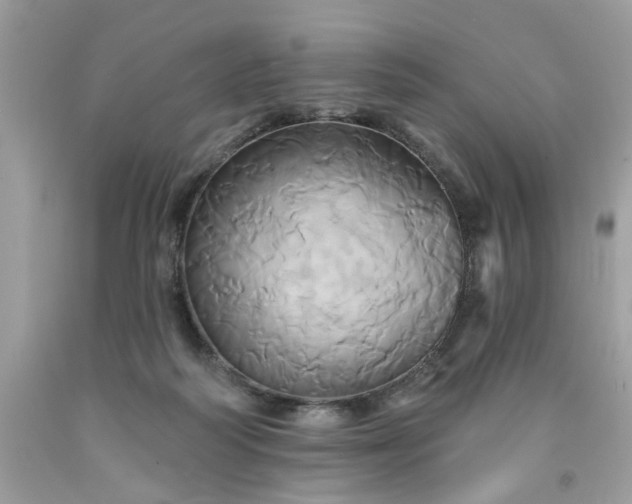 X0000091590218200709051128
