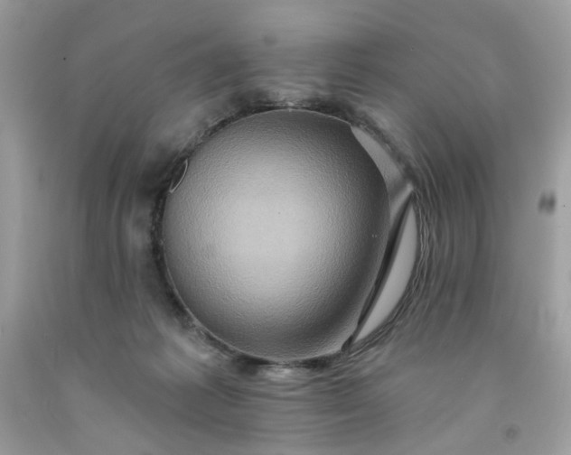 X0000091590221200709051128