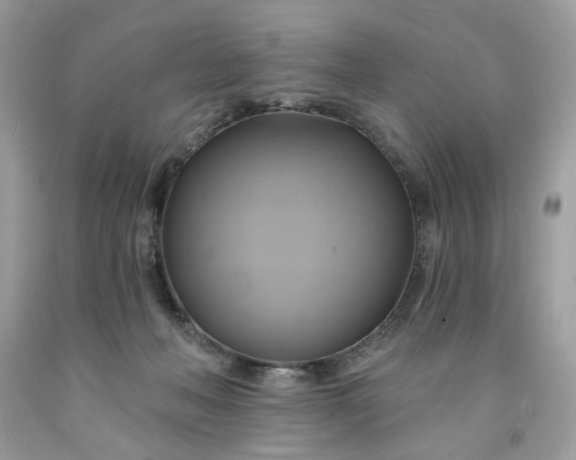 X0000091590222200709051128