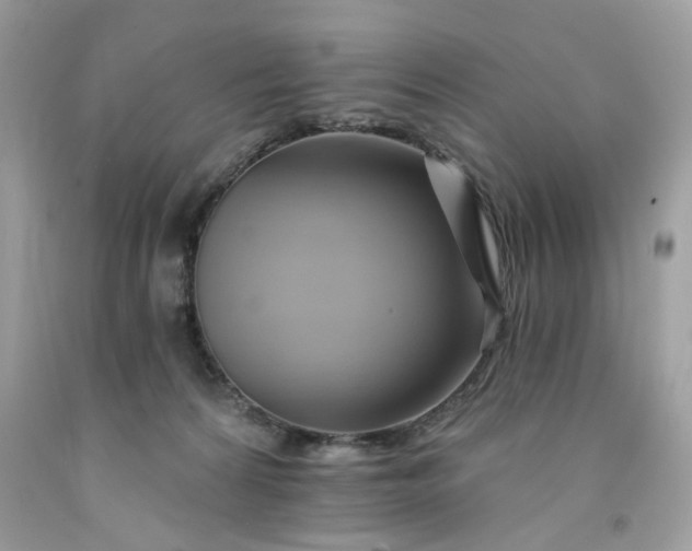 X0000091590224200709051128