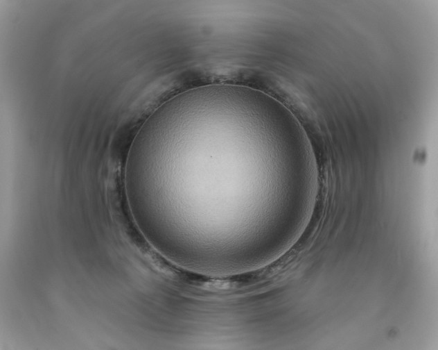 X0000091590225200709051128
