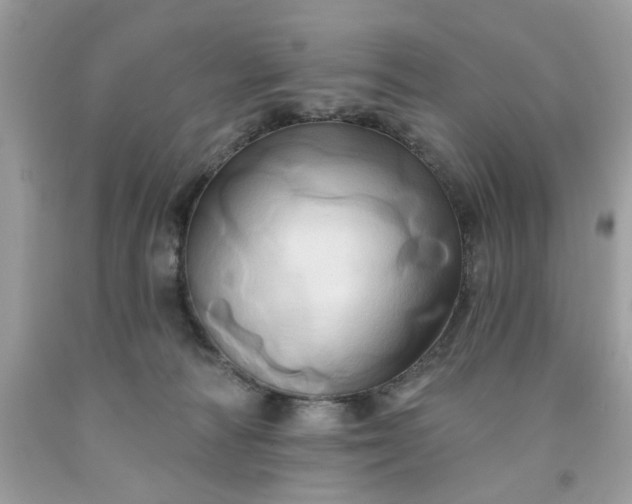 X0000091590226200709051128