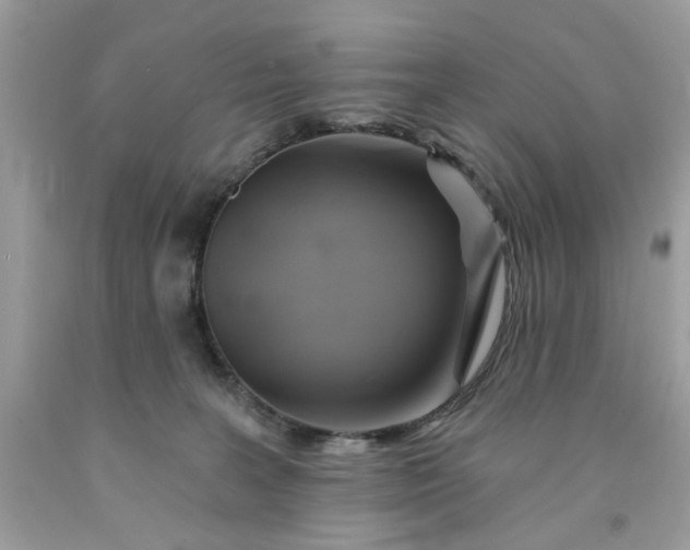X0000091590227200709051128