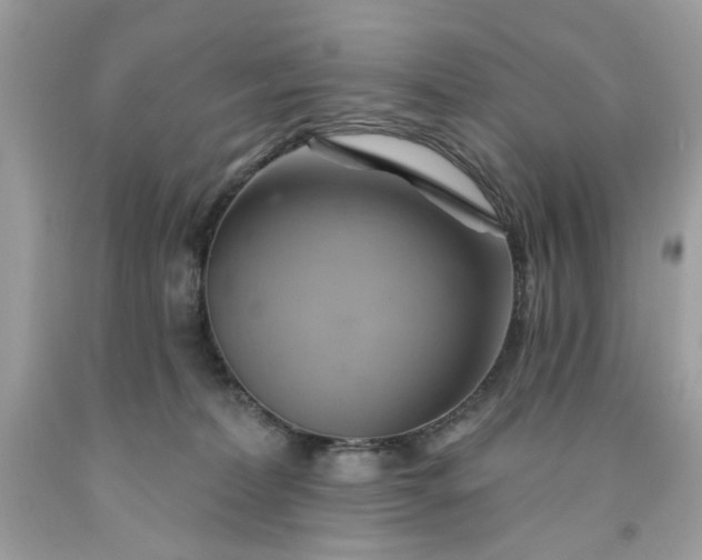 X0000091590228200709051128
