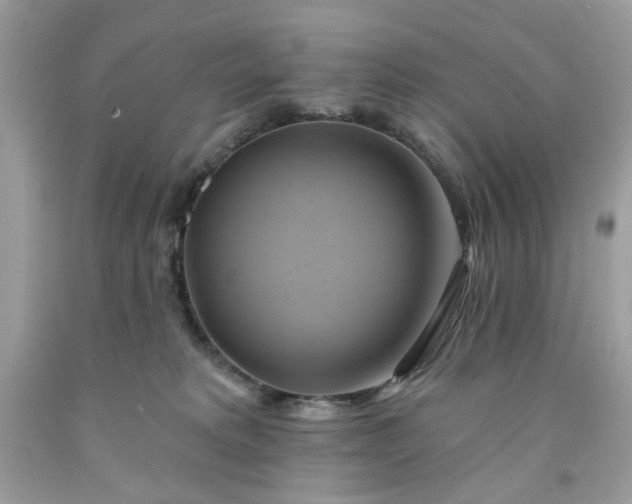 X0000091590229200709051128