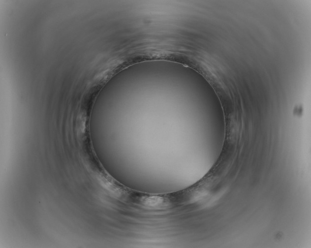 X0000091590230200709051128