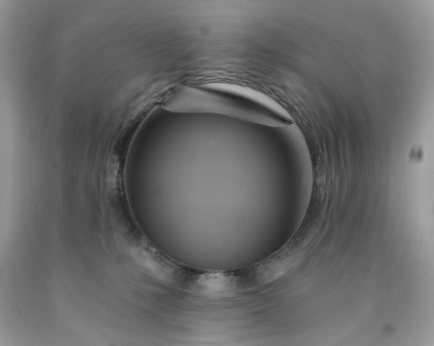 X0000091590231200709051128