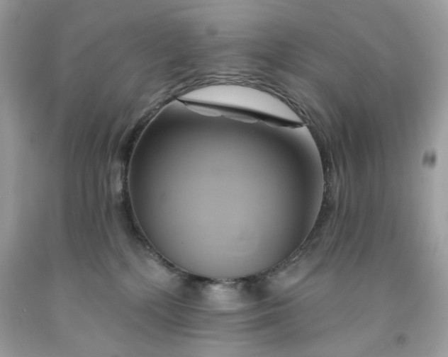 X0000091590232200709051128