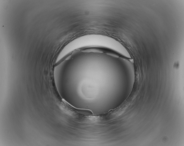 X0000091590233200709051128