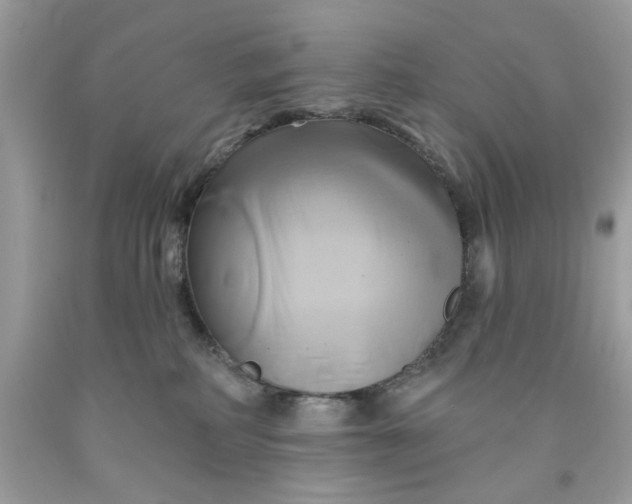 X0000091590234200709051128