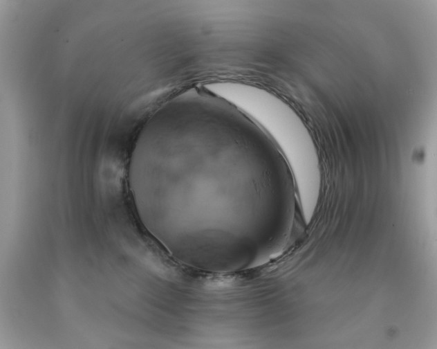 X0000091590235200709051128