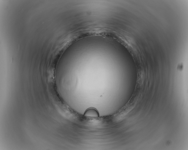 X0000091590236200709051128