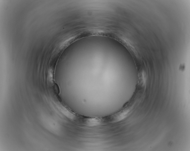 X0000091590238200709051128